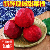 甜菜根新鲜现挖5斤甜菜头紫菜头红甜菜可榨汁农产品红菜头萝卜头 甜菜根5斤小果个数随机