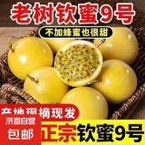 广西黄金百香果纯甜钦蜜9号妃多多新鲜应季孕妇水果 净重3斤中果 【黄金百香果】越皱越甜越好吃
