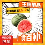 全美2K小糖丸西瓜 2K小糖丸西瓜1.5斤-2斤