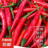 广西小米辣5斤新鲜特辣朝天椒红辣椒辣椒泡椒剁椒小米椒 新鲜小米辣 1斤 朝天椒