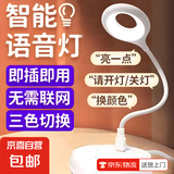 迪创思爆款推荐语音控制感应小夜灯卧室小台灯智能语音灯USB彩色灯led一体睡眠护眼婴儿卧室插电 豪华2个装【语言控制-亮度调节-三色可调】