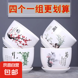 大号红掌高30-40cm 鸿运当头室内花盆栽客厅办公室开花类四季好养 【花型款式随机陶瓷盆+底座】4个 30-40cm