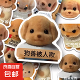 124张可爱森贝儿家族表情包贴纸森贝尔贵宾犬狗宝周边手账贴画diy 可爱表情包贴纸-贵宾犬-10张