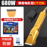 大功率电动羊毛剪宠物电推剪子剃羊毛推子狗狗兔毛机剪剃毛器 机身1个刀头