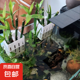 【活动】新款鱼缸水培植物篮水草种植杯壁挂式挺水植物鱼缸定植篮 水培植物篮：【壁挂式】便捷安装 2个装