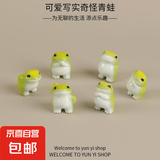 可爱卡通奇怪青蛙微景观创意树脂小摆件公仔配件工艺品玩具搞怪风 【可爱奇怪青蛙】1只