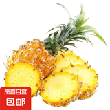 广东徐闻菠萝香水菠萝产地直发  净重7.5-8斤 约4-5粒装  单果650g+