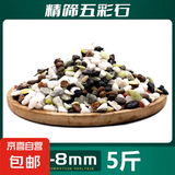 天然五彩石原石鱼缸底砂造景装饰庭院装饰多肉盆栽铺面五彩小石头 天然五彩石5斤【5-8毫米】
