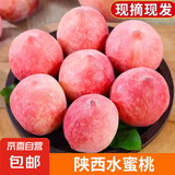 新鲜突围水蜜桃 现摘头茬当季脆甜毛桃子泽华水果 蜜桃净重4.5斤单果80-130g