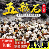 天然五彩石原石鱼缸底砂造景装饰庭院装饰多肉盆栽铺面五彩小石头 天然五彩石1斤【6-9毫米】