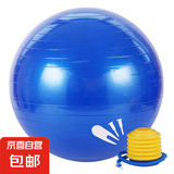 瑜伽球健身球感统训练瑜珈球大龙球加厚充气运动健身器材家用 瑜伽球-蓝色【55cm含泵气塞】