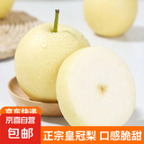 赵州皇冠梨河北皇冠梨脆甜多汁【三】 带箱9-10斤大果（净重8.2斤）