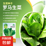 大白菜种子空心菜生菜奶油小白菜红心胡萝卜西葫芦农科院蔬菜籽孑 罗马生菜种子中蔬 1克
