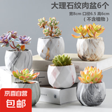 大口径拼盘多肉花盆陶瓷素烧透气个性粗陶桌面造景绿植手绘小花盆 大理石纹肉盆6个 【看图标注】