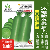 蔬菜种子四季播盆栽阳台庭院香菜生菜菠菜萝卜葱简单易种籽孑大全 冰糖脆水果萝卜约300粒