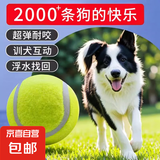 狗狗玩具球边牧柯基金毛逗狗遛狗训犬专用耐咬磨牙小狗宠物狗网球 宠物狗网球-黄色-2个