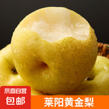 山东莱阳黄金梨 莱阳黄金梨带箱1斤1-3粒