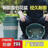新款加厚高款加仑盆矮胖加仑盆塑料花盆多肉绿植盆栽花盆树脂花盆 加厚款M20【5个装】口径20cm 含托盘（托盘加厚）