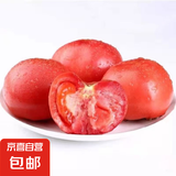 现摘沙瓤西红柿番茄可生吃现摘现发新鲜蔬菜减肥生鲜 精品小果 单果60g+ 400g 净重