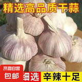 爆款精品紫皮蒜多瓣大蒜新鲜特价蒜头干蒜单果4-5cm 尝鲜装3头【75-100g】