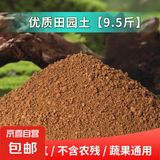 田园土优质种菜专用花土养花通用园艺盆栽种植泥土天然有机营养土 田园土9.5斤（过筛除杂 无虫害）