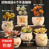 大口径拼盘多肉花盆陶瓷素烧透气个性粗陶桌面造景绿植手绘小花盆 好物组合6个 【看图标注】
