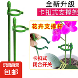 植物支撑杆花卉爬藤架蝴蝶兰月季铁线莲攀爬固定花架园艺盆栽支架 支撑杆30cm*6根+固定扣10个