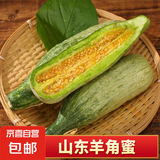 山东潍坊头茬羊角蜜甜瓜 当季新鲜水果现摘整箱 羊角蜜2.5-3斤2-3根