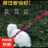 【京东物流】宠物牵引绳猫咪狗狗兔牵引绳宠物外出遛狗可爱耐用 宠物牵引绳-混色2个