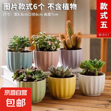 大口径拼盘多肉花盆陶瓷素烧透气个性粗陶桌面造景绿植手绘小花盆 花瓣马卡龙组合6个 【看图标注】