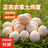 农家新鲜现捡土鸡蛋谷物饲养新鲜鸡蛋柴鸡蛋约40g/枚左右早餐买菜 8枚