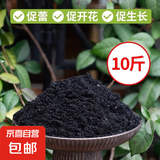 纯草木灰肥料天然有机钾肥正宗农家肥育苗杀虫种菜果树通用稻壳炭 纯草木灰（现烧现卖）10斤