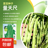 大白菜种子空心菜生菜奶油小白菜红心胡萝卜西葫芦农科院蔬菜籽孑 量天尺扁豆 20克