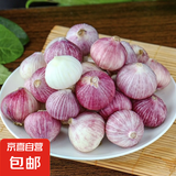 京喜自营云南紫皮独头蒜干蒜高原珍珠蒜新鲜蔬菜调料 实惠 3.7斤 单果2cm左右