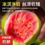 奶油白心红心芭乐 新鲜软糯低卡低热量轻食首先水果 1斤净重（红心）单果100g起