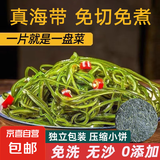有机小海带嫩芽海带丝鲜嫩干净无沙老少皆宜盐渍霞浦特产火锅食材 16g压缩海带丝