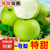 安徽正宗砀山梨青梨酥脆一号青皮蜜梨脆甜多汁无渣沐驰 3斤精选大果（净果2.7斤以上）