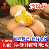 莘吉缘活珠子鸡蛋胚胎麻辣毛蛋13天新鲜钢化蛋五香新鲜即食生鲜 活珠子40枚五香味