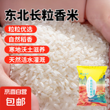 长粒香米东北大米现磨寒地当季粳米新米软糯米粒饱满 东北长粒香米500g