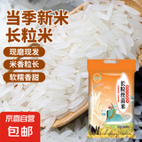 当季新米软香丝苗米晚稻籼米长粒香大米猫牙米煲仔饭丝苗米 长粒丝苗米500g