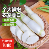 云南新鲜茭白当季时令农家蔬菜清甜脆嫩新鲜高笋茭儿菜茭瓜生鲜 新鲜茭白带箱4斤