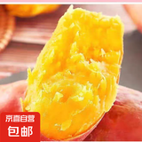 现挖沙地蜜薯红薯新鲜农家糖心番薯烤地瓜软糯批发黄心包邮 沙地蜜薯5斤装 大果