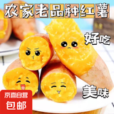 现挖沙地蜜薯红薯新鲜农家糖心番薯烤地瓜软糯批发黄心包邮 沙地蜜薯5斤装 中果