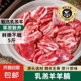 草原散养羔羊羊腩肉块2.5斤5斤 羔羊肉生鲜炖煮火锅烤肉食材 羊腩肉5斤