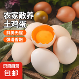 大码鸡蛋50g正负5g/枚散养土鸡蛋新鲜鸡蛋溏心蛋早餐必备京东包邮 20枚土鸡蛋50g