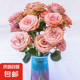 【玫瑰花】10枝装特价云南鲜花直发节日鲜花礼物花束家用水养插花 卡布奇诺玫瑰10枝