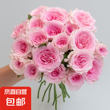 【玫瑰花】10枝装特价云南鲜花直发节日鲜花礼物花束家用水养插花 洛神玫瑰10枝