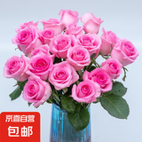 【玫瑰花】10枝装特价云南鲜花直发节日鲜花礼物花束家用水养插花 苏醒玫瑰10枝