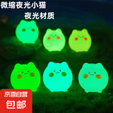 【升级】可爱夜光小猫微景观园艺小摆件卡通DIY透明彩色小猫鱼缸 彩色猫咪摆件    1个