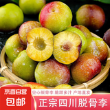 四川脱骨李半边红李子新鲜水果当季生鲜脆甜脆李整箱包邮产地直发 【小果10-15g】带箱3斤